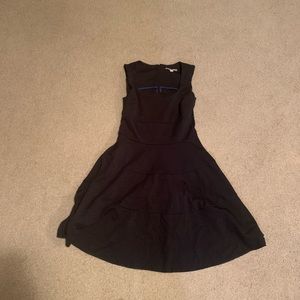 Banana Republic Fit and Flare dress